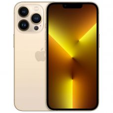 Apple iPhone 13 Pro 1024GB Gold RUS